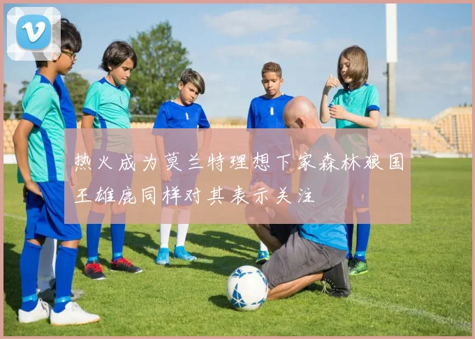 热火成为莫兰特理想下家森林狼国王雄鹿同样对其表示关注