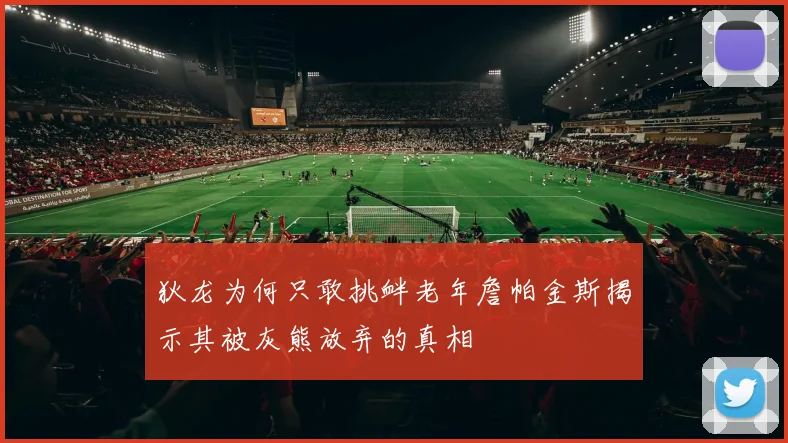 狄龙为何只敢挑衅老年詹帕金斯揭示其被灰熊放弃的真相